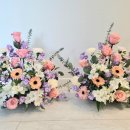 라라플레르 이미지