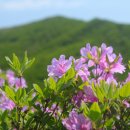 강동로1-21 이미지