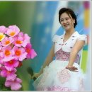 고목나무 이미지