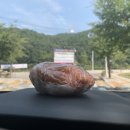 성당한우농장 이미지