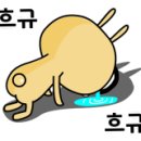 남문정육식당 이미지