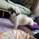 몽몽이# 이미지