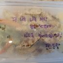 핏스토랑 이미지