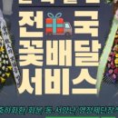 춘천꽃집