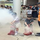 강릉소방서 이미지