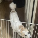 향촌주공101동앞 | [부평 갈산동]따뜻하고 편안한 갓신내린 용한 애동점집 '태화신무' 후기