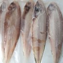 군산박대왕 이미지