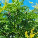 용비쉼터 이미지