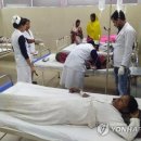 고라농장 이미지