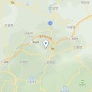 알이조아 이미지