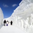 대관령로 이미지