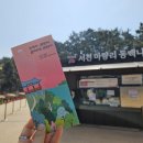 동백자연에너지 | 서해바다와 동백나무꽃의 매력을 듬뿍 느끼고 돌아온 서천 당일치기 여행
