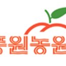 비금농장 네이버블로그