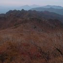 파스텔B 이미지