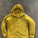 아크테릭스 아톰 에알 후디 (Arcteryx- Atom AR-Hoody ) 이미지
