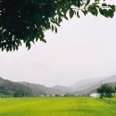 하오재캠핑장 이미지