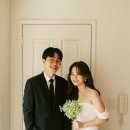 도트맨션