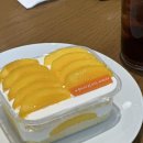 아티제 서울스퀘어점 | 아티제 광화문S타워점 I 생애플망고 프로마쥬 스퀘어 케이크 내돈내산