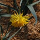 고요한꽃뜰 이미지