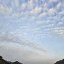 사랑마실 이미지