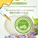 그리스플라워
