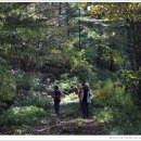 2019.10/26~27 인제 원대리, 수산리 자작나무 숲 원주굽이길 이미지