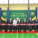 민영청과 헤럴드경제