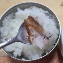 안동간고등어 일직식당 | 방문후기_[경북/안동] 안동 간고등어 일직식당 솔직 후기