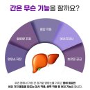 엔플러스
