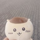 한빛의원 | 👶🏻임신준비] 나팔관조영술 비용 및 후기(안산한빛여성의원)