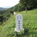 임천 가림성 느티나무 이미지