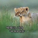 북한산천연옥워터파크 - 취사가능 수영장, 대기상황, 방갈로 이용후기