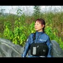 뚜레 Daum카페