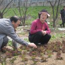 석현농장 이미지