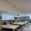 포시즌에이스투어 | H.01 신혼집 침대 결정! 매트리스학과 졸업 (시몬스, 에이스, 베스트슬립, 템퍼, 한샘)