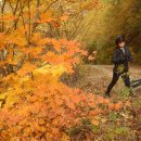 항골계곡 | 251026_항골