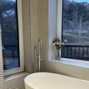 스테이율 이미지