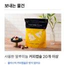 가버치 이미지