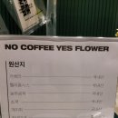 노커피예스플라워