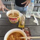 캐비 끝나고 오후권 에버랜드 무료입장 불꽃축제 퍼레이드 티익스 이름 변경 모니모러쉬 후기 대기...