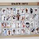 더누리개 이미지