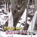 화자씨 이미지