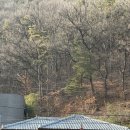 소로3-안영3호선 | 공주 26.01.04 ~ 26.01.05