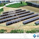 호수A태양광발전소 이미지