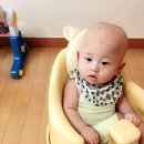 꼬몽베베 네이버블로그