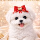 미유펫대구강아지고양이도그플러스동물병원