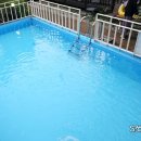 오늘하루 애견 동반 스파펜션 이미지