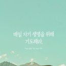 하늘사랑 이미지