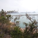 신지면-3 이미지