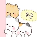화명풍천장어 이미지